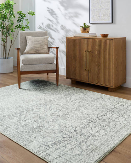 Collins Avenue Traditional Gray/Cream Area Rug - Galey Alix Livabliss