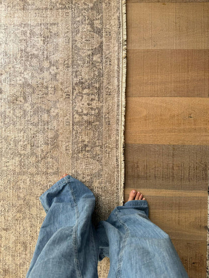 Maria Elena Traditional Ivory/Medium Brown Area Rug - Galey Alix Livabliss