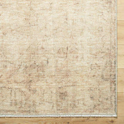 Fetscher Traditional Light Beige/Light Brown Area Rug - Galey Alix Livabliss