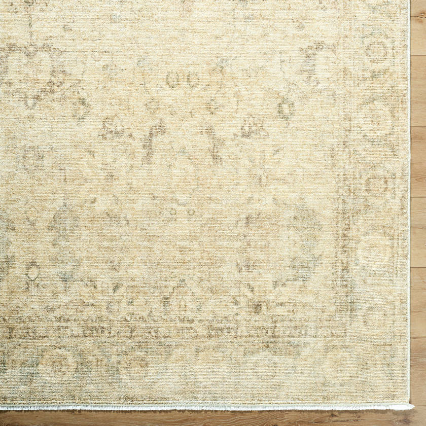 Fetscher Traditional Light Beige Area Rug - Galey Alix Livabliss