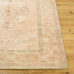 Luciana Traditional Sage/Blush Area Rug - Galey Alix Livabliss