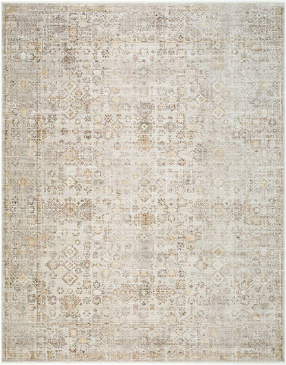 Myrtle Avenue Traditional Taupe/Cream Area Rug - Galey Alix Livabliss