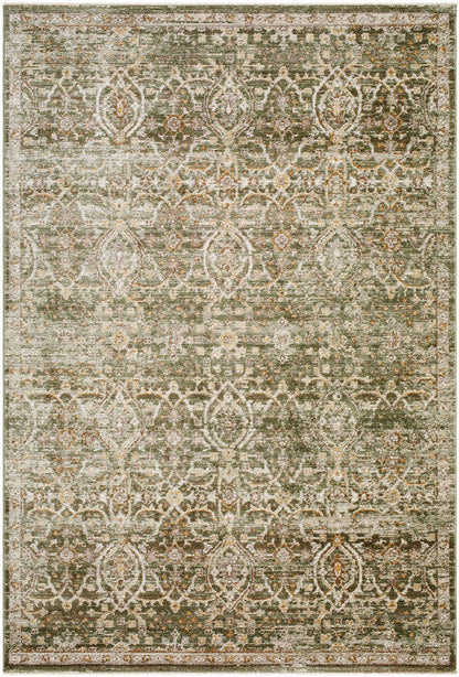 Myrtle Avenue Traditional Olive/Medium Brown Area Rug - Galey Alix Livabliss
