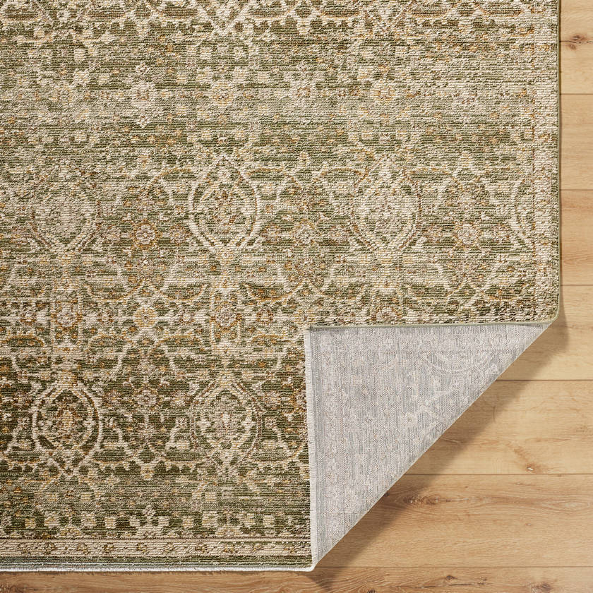 Myrtle Avenue Traditional Olive/Medium Brown Area Rug - Galey Alix Livabliss