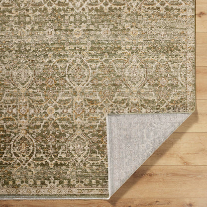 Myrtle Avenue Traditional Olive/Medium Brown Area Rug - Galey Alix Livabliss