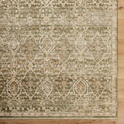 Myrtle Avenue Traditional Olive/Medium Brown Area Rug - Galey Alix Livabliss