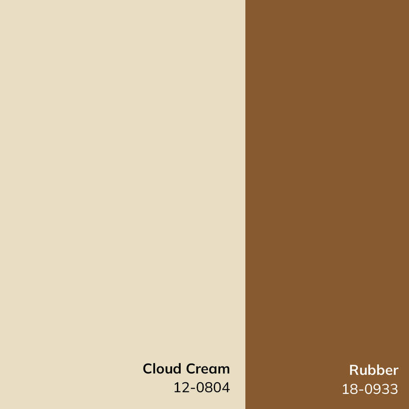 Architect Modern Ivory/Dark Brown Area Rug - Galey Alix Livabliss