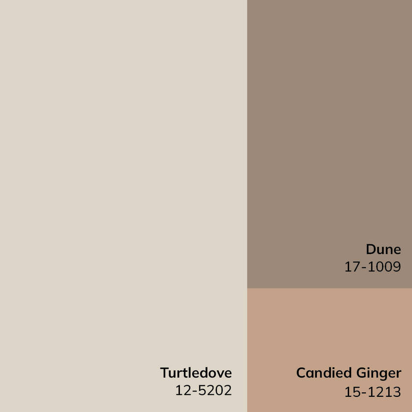 Maria Elena Traditional Ivory/Medium Brown Area Rug - Galey Alix Livabliss