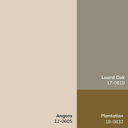 Fetscher Traditional Olive/Light Beige Area Rug - Galey Alix Livabliss