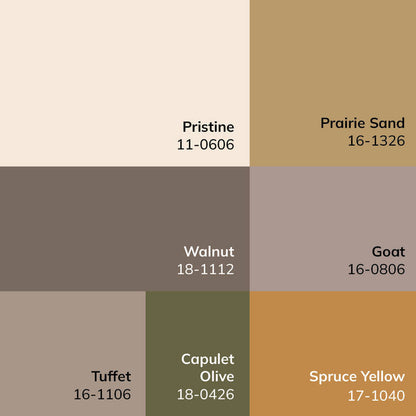 Myrtle Avenue Traditional Taupe/Cream Area Rug - Galey Alix Livabliss