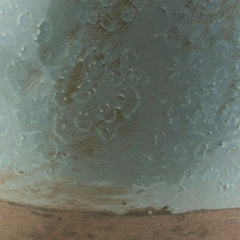 Borovo Sage Decorative Sculpture