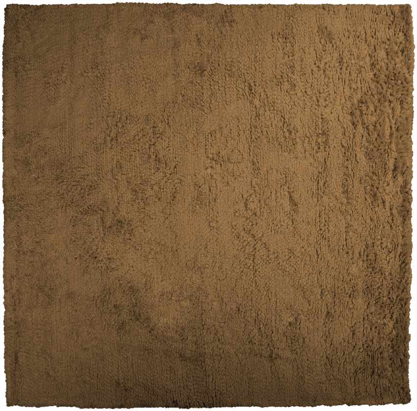 Apopka Modern Brown Area Rug