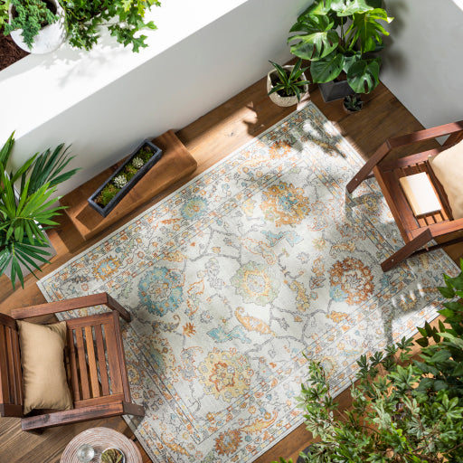 Surya Bodrum Flatweave Polypropylene Beige Rectangular Indoor/Outdoor Medallion Global Area Rug
