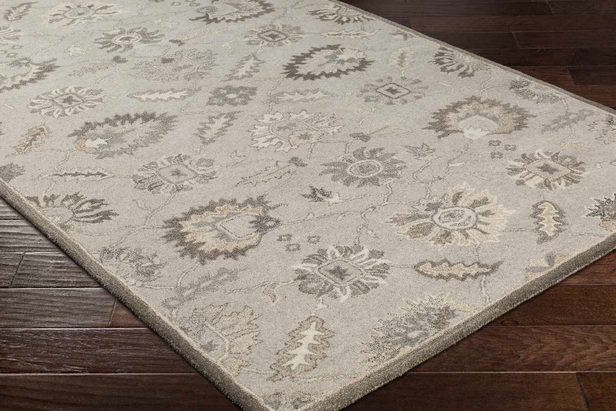 Kinistino Traditional Taupe Area Rug