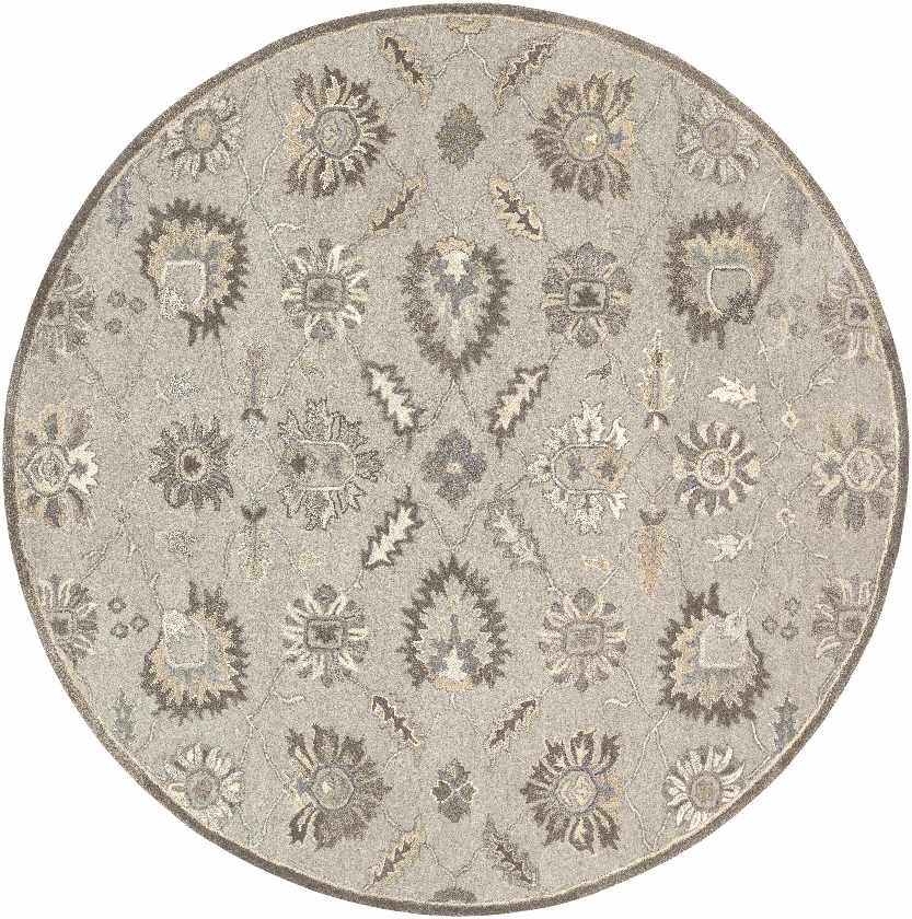Kinistino Traditional Taupe Area Rug