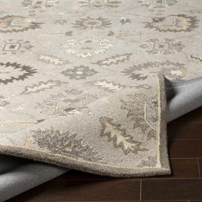 Kinistino Traditional Taupe Area Rug