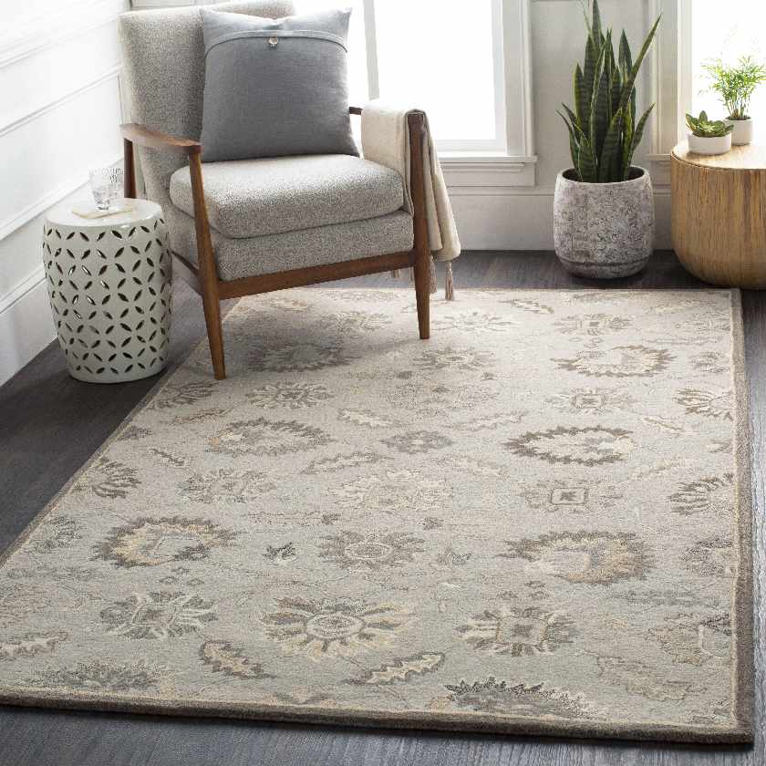 Kinistino Traditional Taupe Area Rug