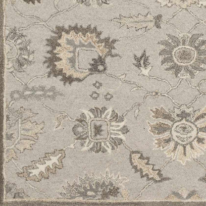 Kinistino Traditional Taupe Area Rug