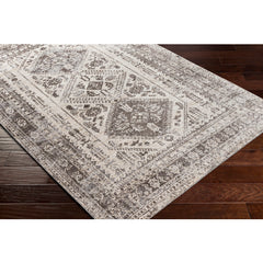 Surya Lavadora Flatweave Polyester Dark Brown Rectangular Indoor Medallion Oriental Machine washable Area Rug
