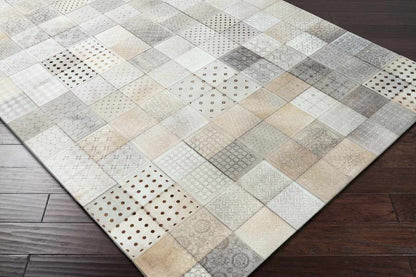 Murray Modern Light Gray Area Rug
