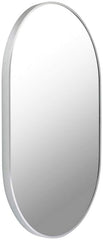 Soyla Modern Metallic Silver Wall Mirror