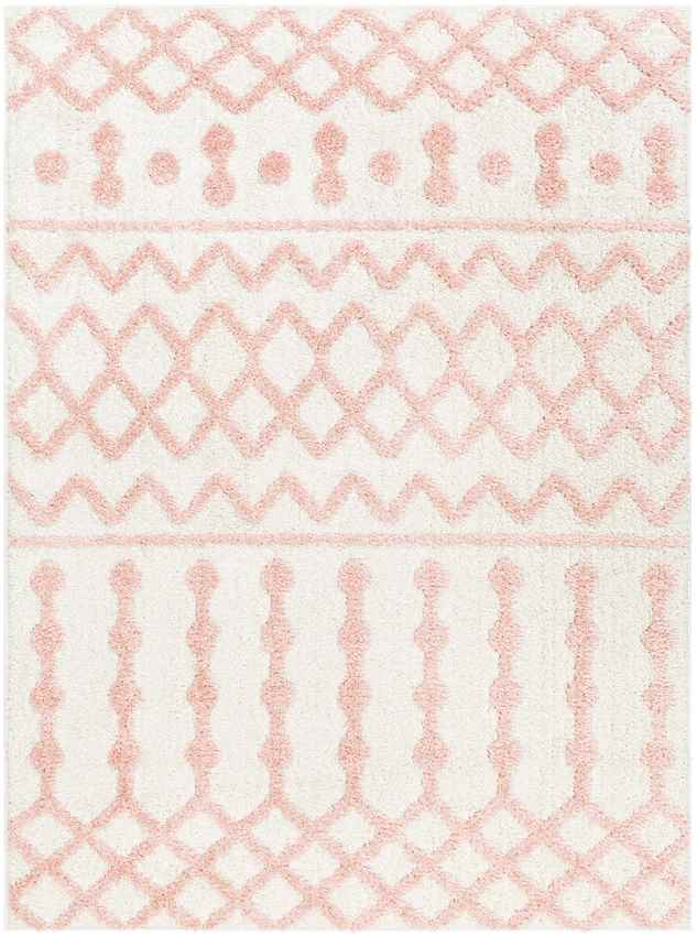 Daris Modern Coral Area Rug