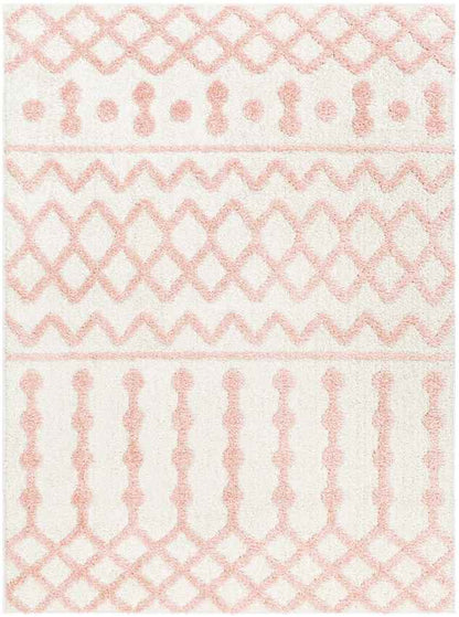 Daris Modern Coral Area Rug