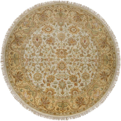 Vidette Traditional Beige Area Rug
