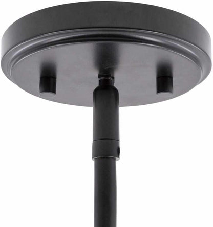 Drosing Modern Ceiling Lighting