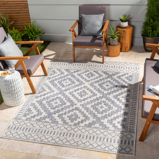 Surya Tuareg Flatweave Polypropylene Cream Rectangular Indoor/Outdoor Tribal Global Area Rug